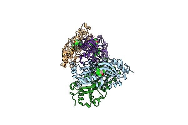 4RPN image