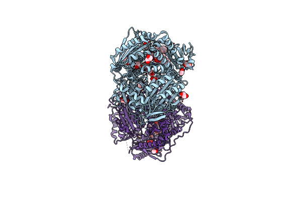 4RPU image