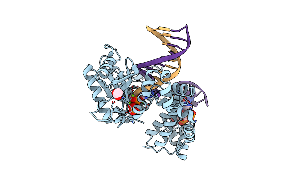 4RQ4 image