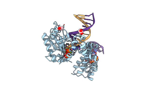 4RQ5 image