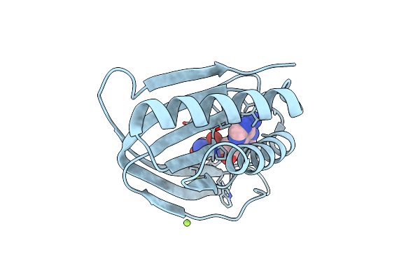 4RRH image