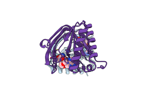 4RRQ image
