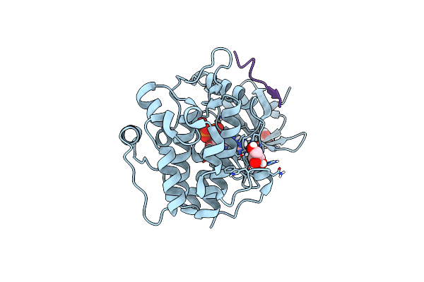 4RRV image