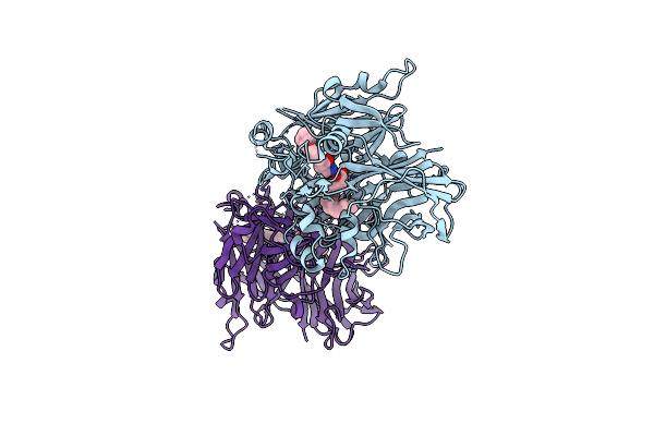 4RSC image