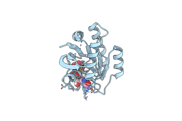 4RSG image