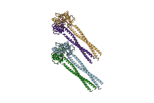 4RSJ image