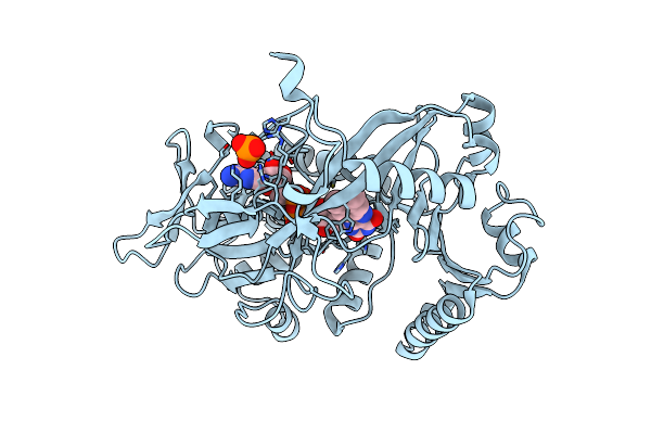 4RSL image