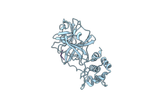 4RSP image