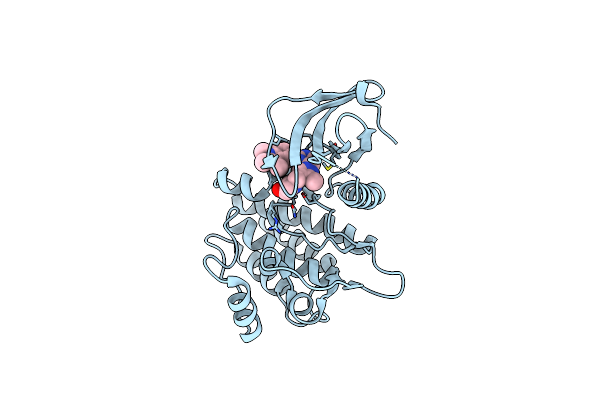 4RSS image