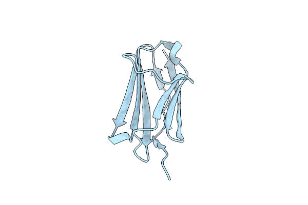 4RSV image