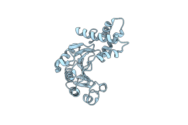 4RSX image