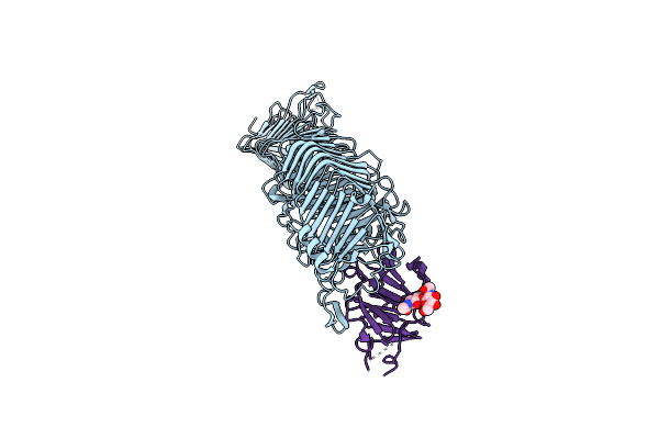 4RT6 image