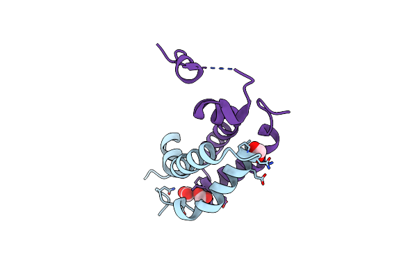 4RTA image