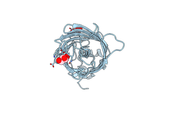 4RTC image