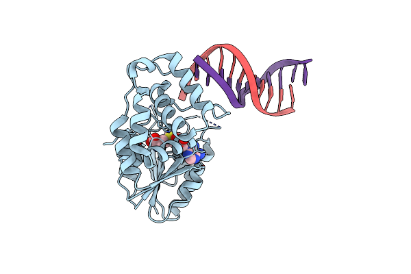 4RTM image