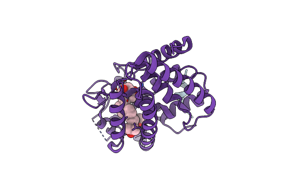 4RUO image