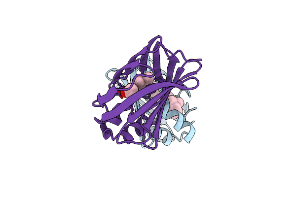 4RUU image
