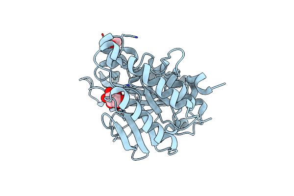 4RV3 image