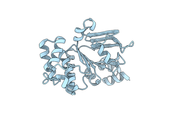 4RVC image
