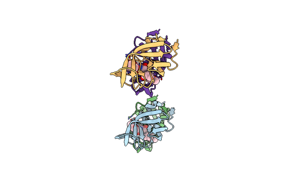 4RVI image