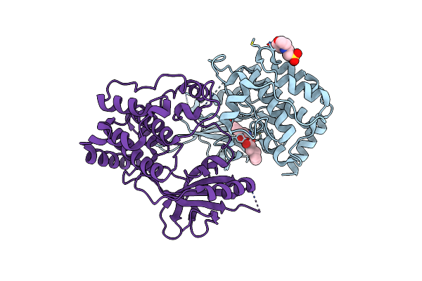 4RVT image