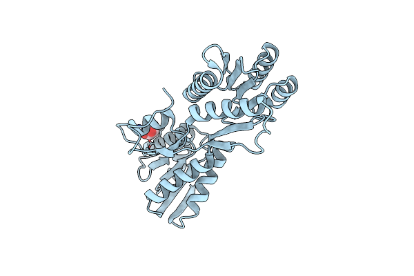 4RWE image