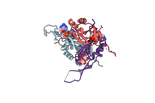 4RWW image