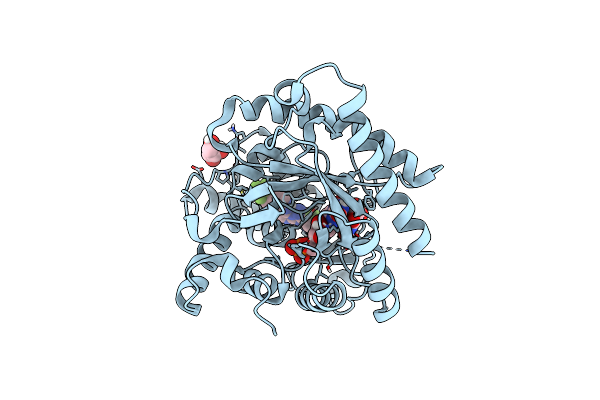 4RX0 image