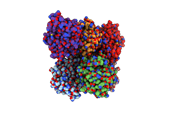 4RX2 image