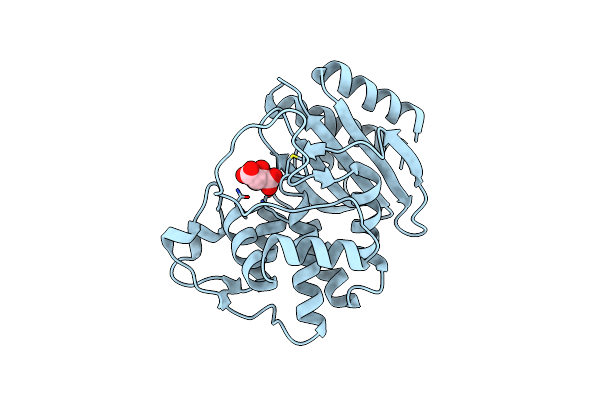 4RX3 image