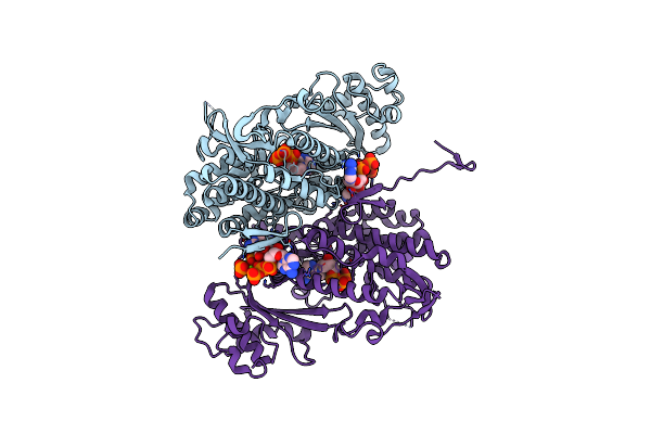 4RXP image