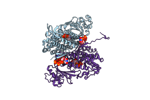 4RXQ image