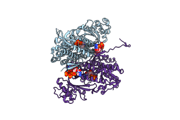 4RXR image