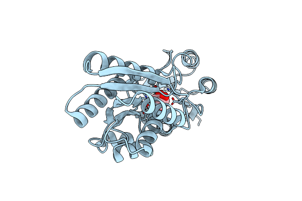 4RXT image