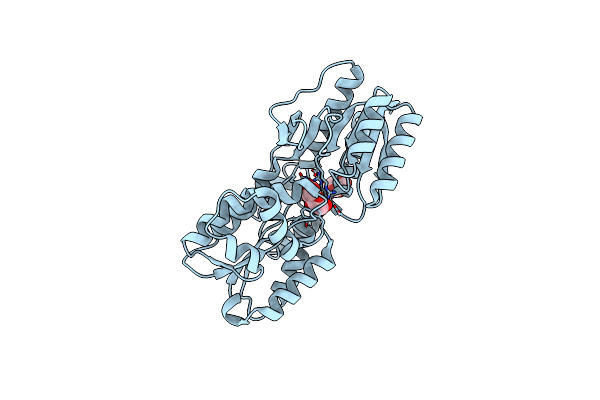 4RXU image