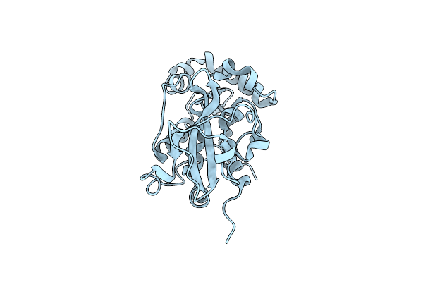 4RXV image