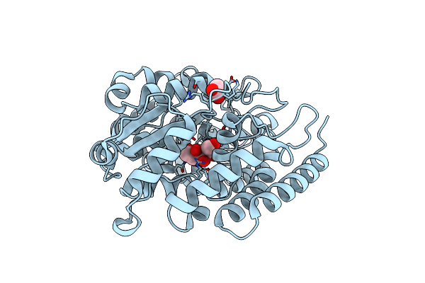 4RYA image