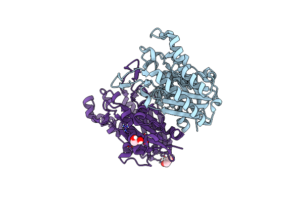 4RYB image