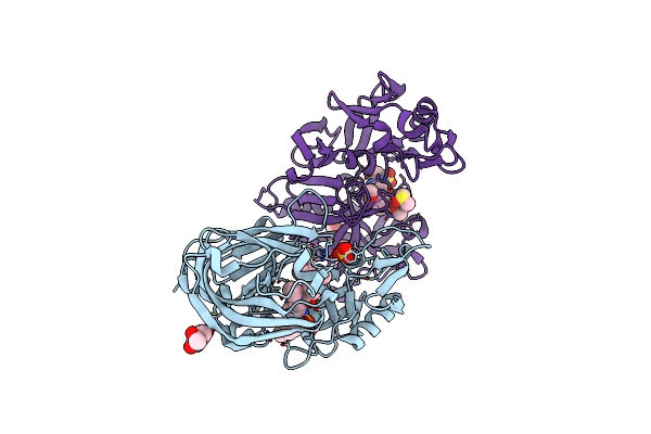 4RYC image
