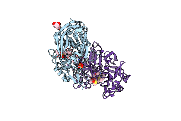 4RYG image