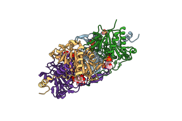 4RYU image