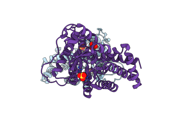 4RZ5 image