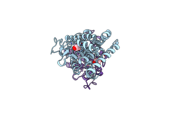 4RZF image