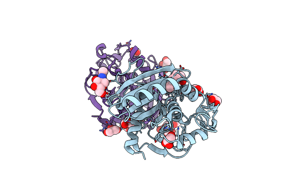 4S0X image