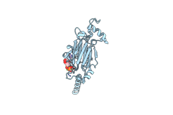 4S1K image
