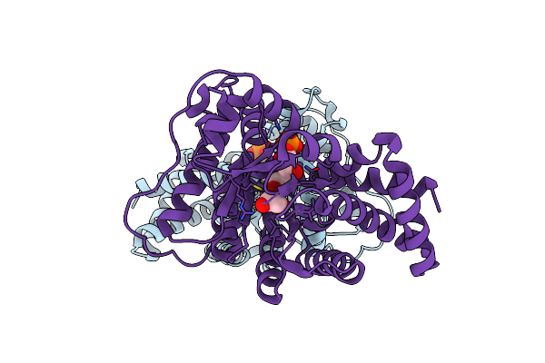 4S2C image