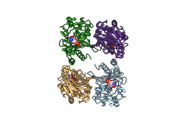 4S2N image
