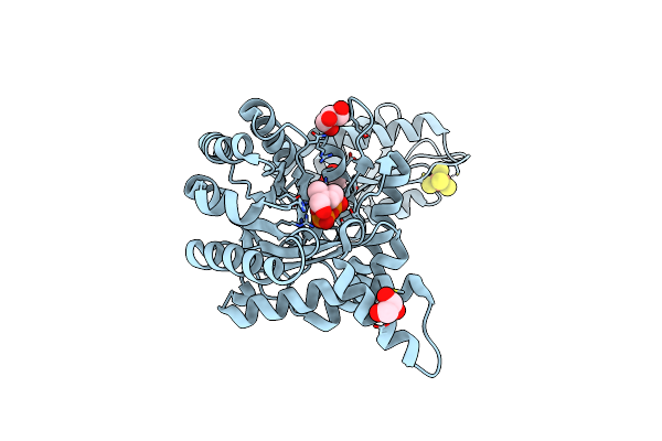 4S39 image