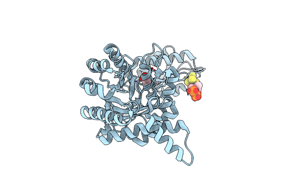 4S3C image