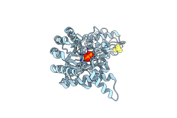 4S3D image